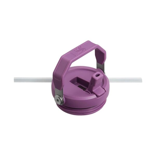 Stanley The IceFlow Flip Straw Pipetli Termos Bardak 0,89 LT - Görsel 4