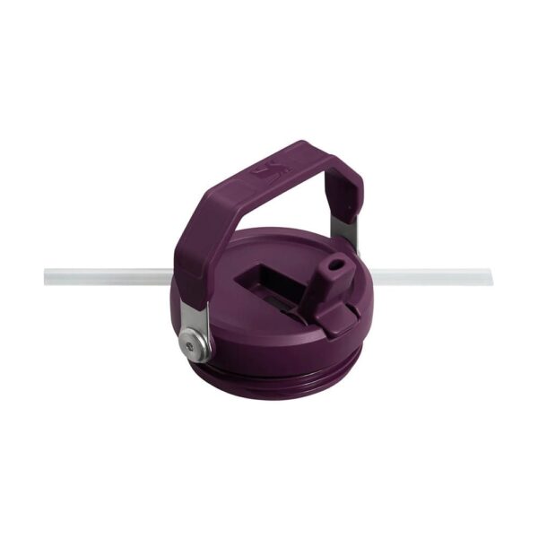 Stanley The IceFlow Flip Straw Pipetli Termos Bardak 0,89 LT - Görsel 4