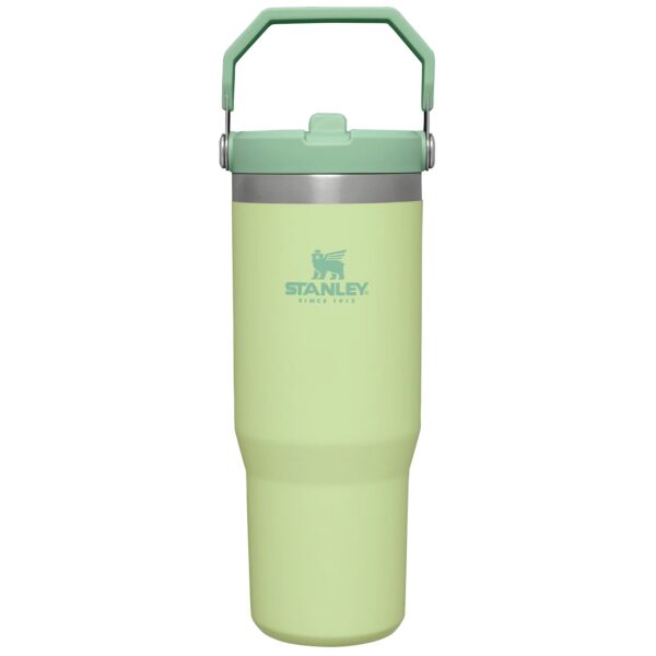 Stanley The IceFlow Flip Straw Pipetli Termos Bardak 0,89 LT