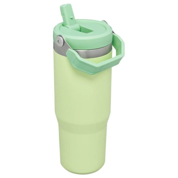 Stanley The IceFlow Flip Straw Pipetli Termos Bardak 0,89 LT - Görsel 3