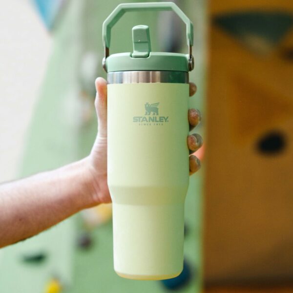 Stanley The IceFlow Flip Straw Pipetli Termos Bardak 0,89 LT - Görsel 6