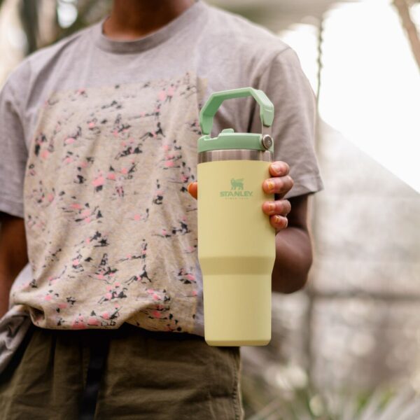 Stanley The IceFlow Flip Straw Pipetli Termos Bardak 0,89 LT - Görsel 5