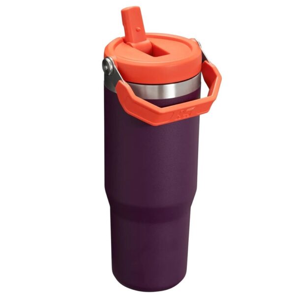 Stanley The IceFlow Flip Straw Pipetli Termos Bardak 0,89 LT - Görsel 2