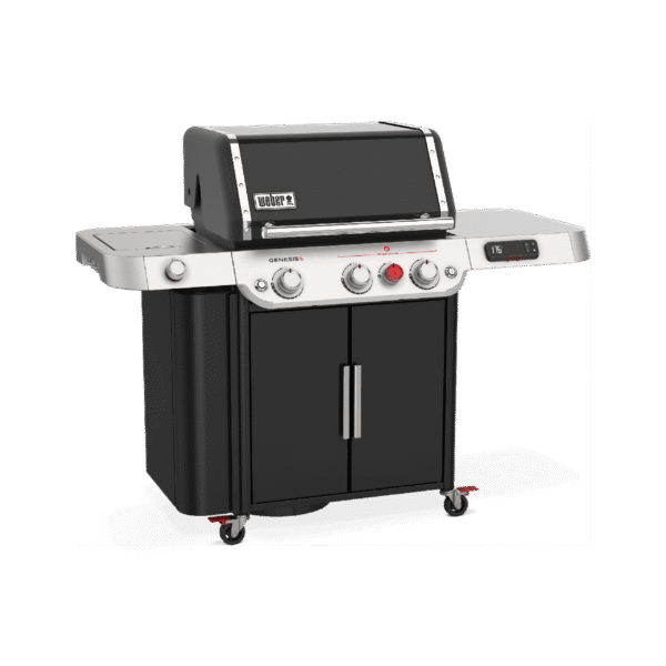 GENESİS EPX-335 - Görsel 2
