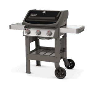 SPİRİT II E-310