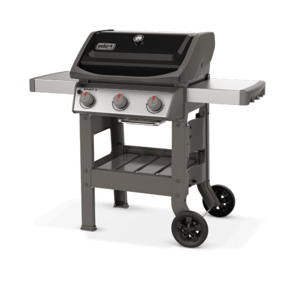 SPİRİT II E-310