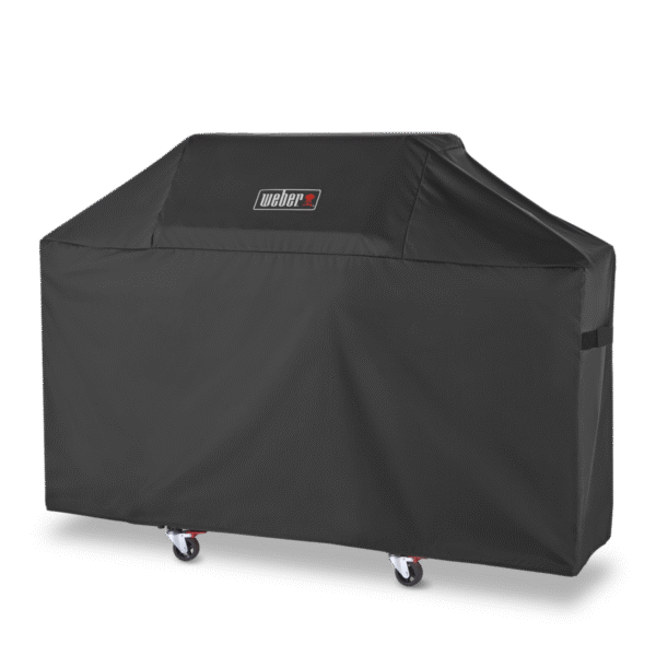 PREMİUM GENESİS 300 SERİSİ İÇİN KORUYUCU KILIF - Görsel 2